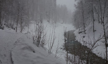 Die Partnach im Winter