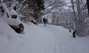 Schneeschuhwandern im Wetterstein