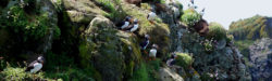 Wildlife Tour in Schottland, Innere Hebriden