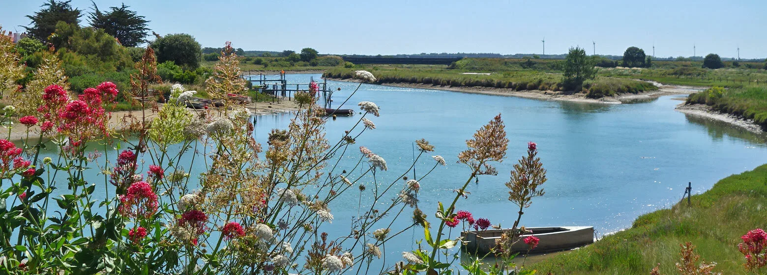 Pays de la Loire bei einer Frankreich-Reise