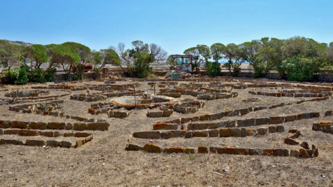Gefängnisgarten auf Asinara