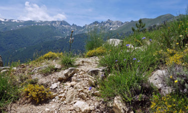 GR 20 Bergpanorama auf Korsika
