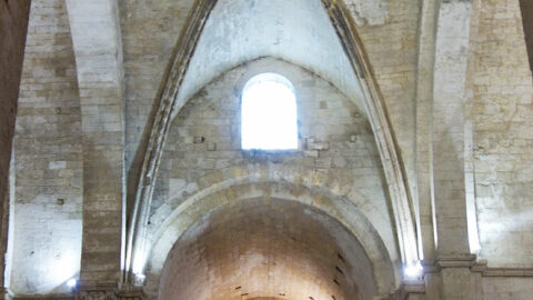 Abtei Montmajour bei Arles